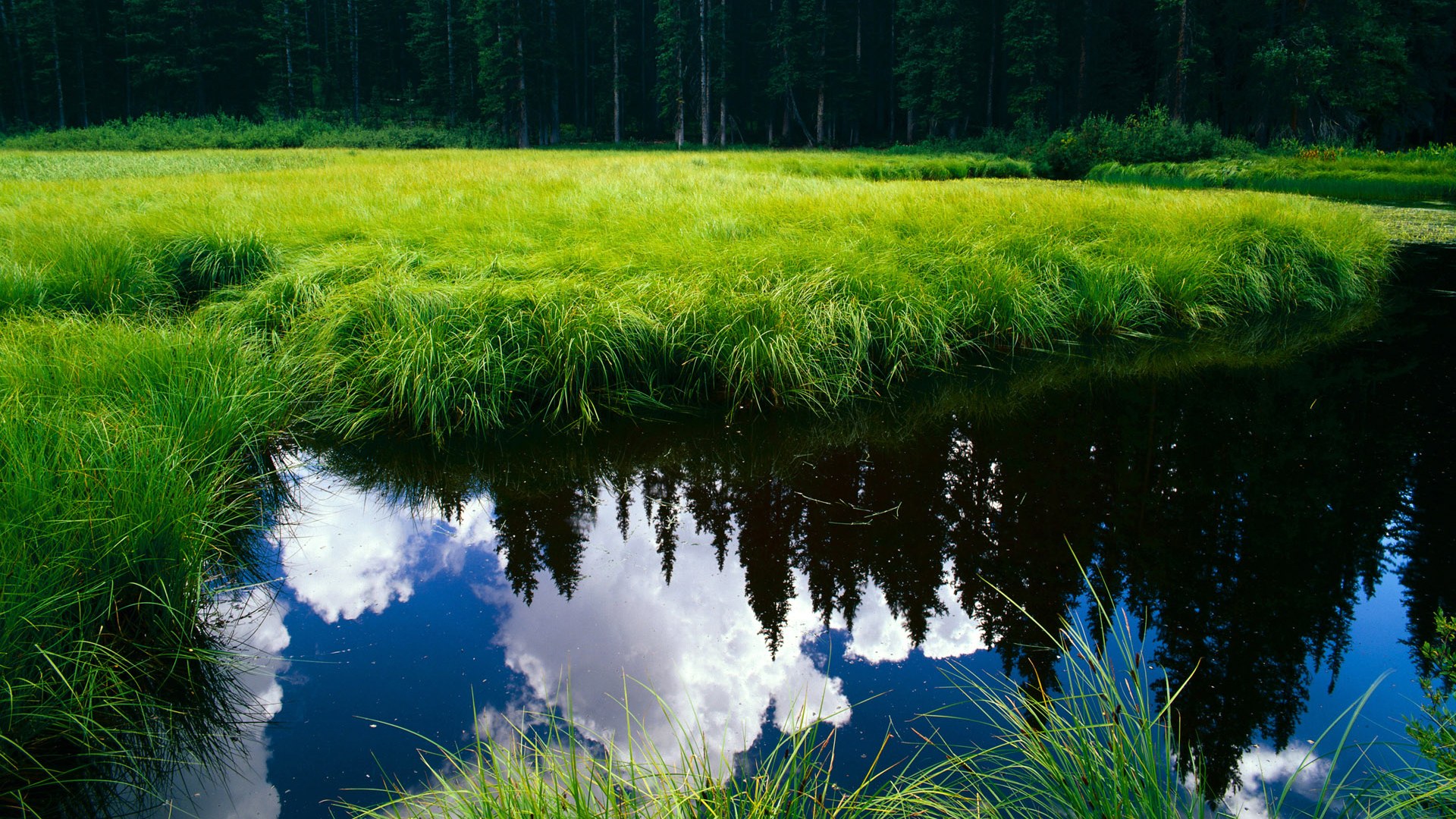 开云·Kaiyun网页版-“球迷见证：最火爆的现场应援瞬间”，篮球比赛应援