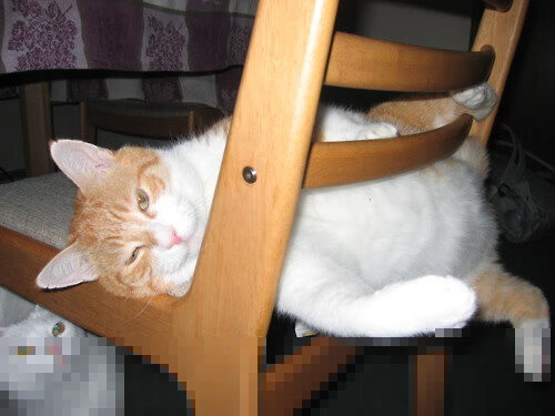 kaiyun官方入口登录-“西甲明星持续发光，场上精彩纷呈”，西甲著名球星