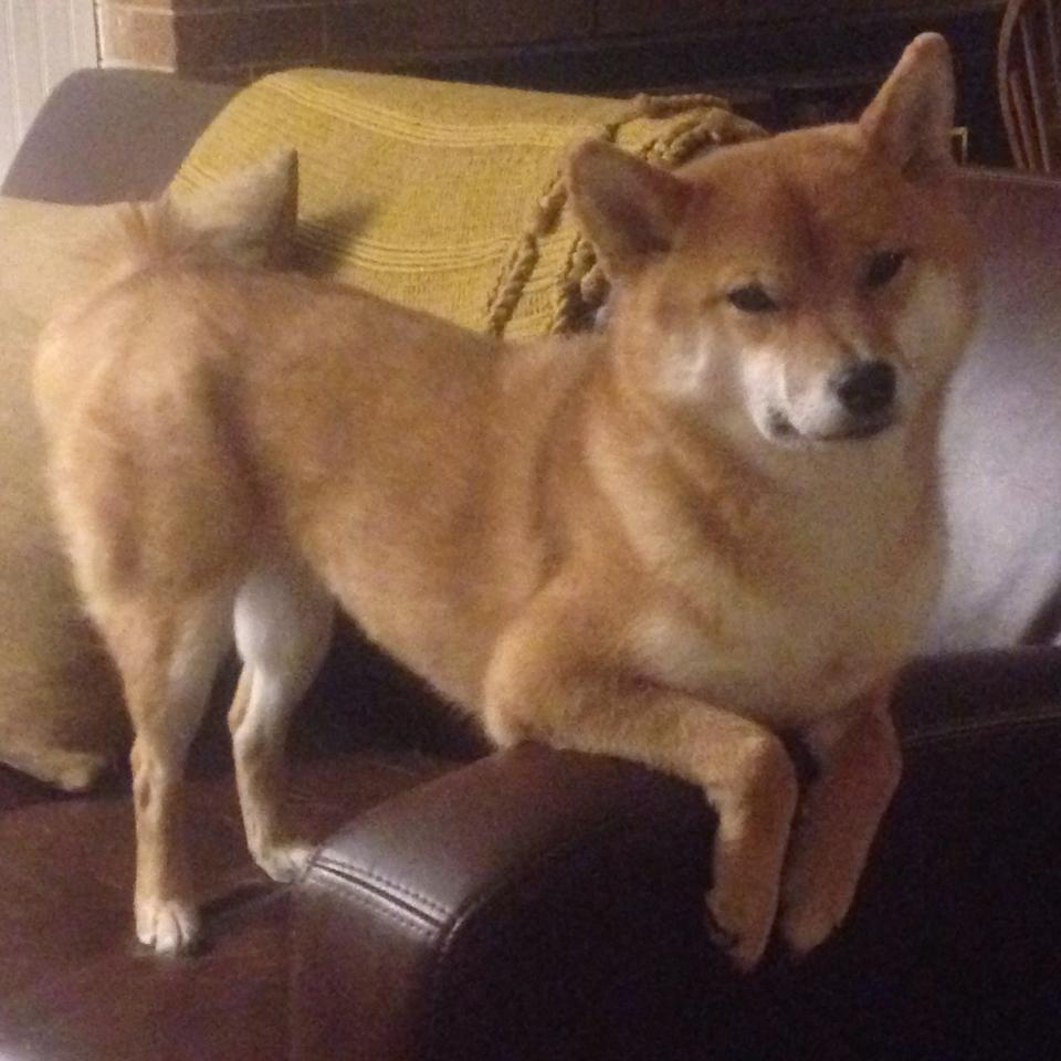 Kaiyun官方登录入口-令人心碎的“败者之夜”：那些遗憾的比赛瞬间，败者组决赛是什么意思